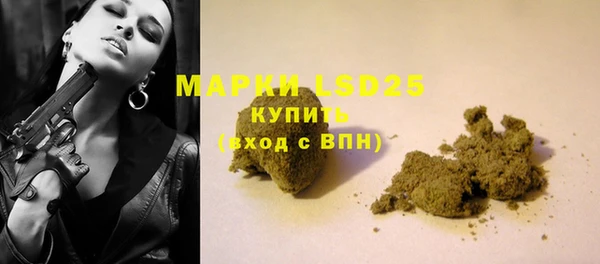 винт Алзамай